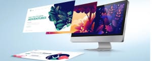 The Role of Design and Development in a Successful Website