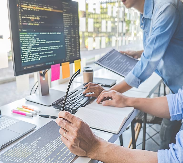 Website developers working on custom website development and software programming projects.
